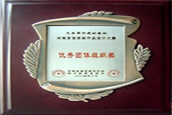 优秀奖团队组织奖